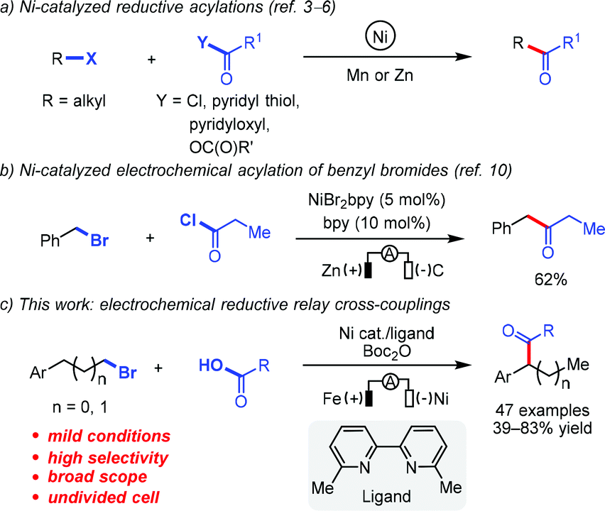 Nickel-Catalyzed Alkylation of Amide Derivatives