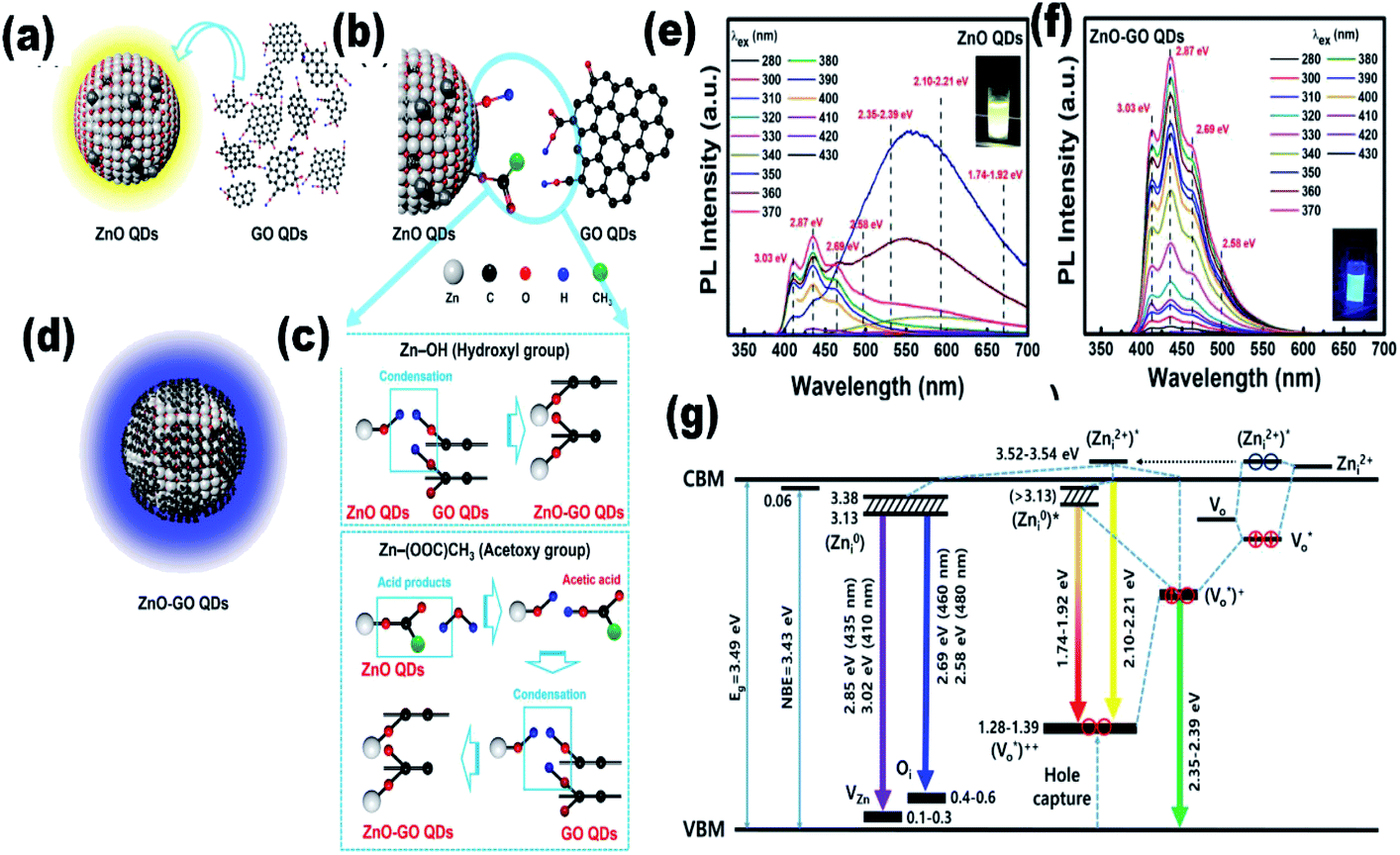 Journey Of Zno Quantum Dots From Undoped To Rare Earth And Transition Metal Doped And Their Applications Rsc Advances Rsc Publishing Doi 10 1039 D0rac