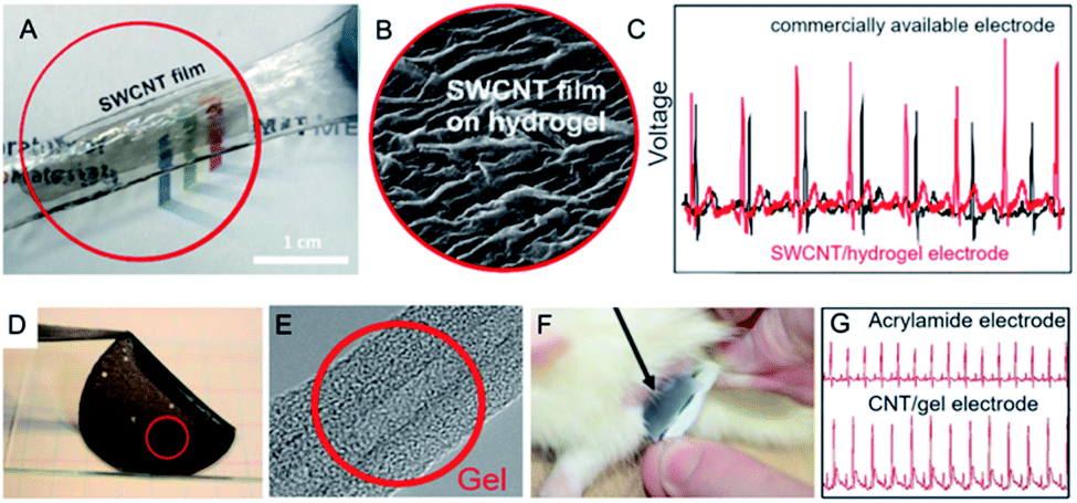 Carbon Nanotube Materials For Electrocardiography Rsc Advances Rsc Publishing Doi 10 1039 D0rag