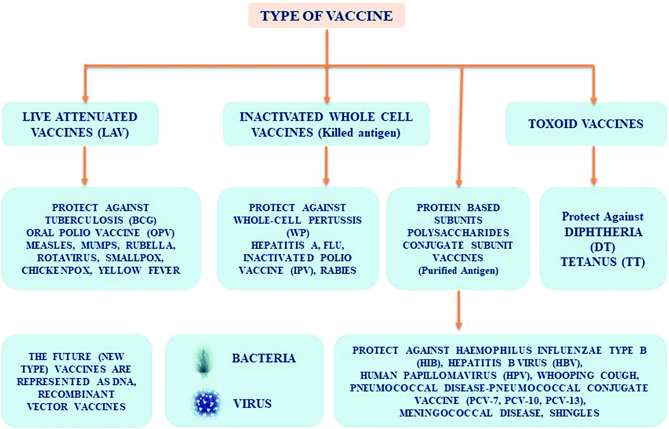 A comprehensive overview of vaccines developed for pandemic viral ...