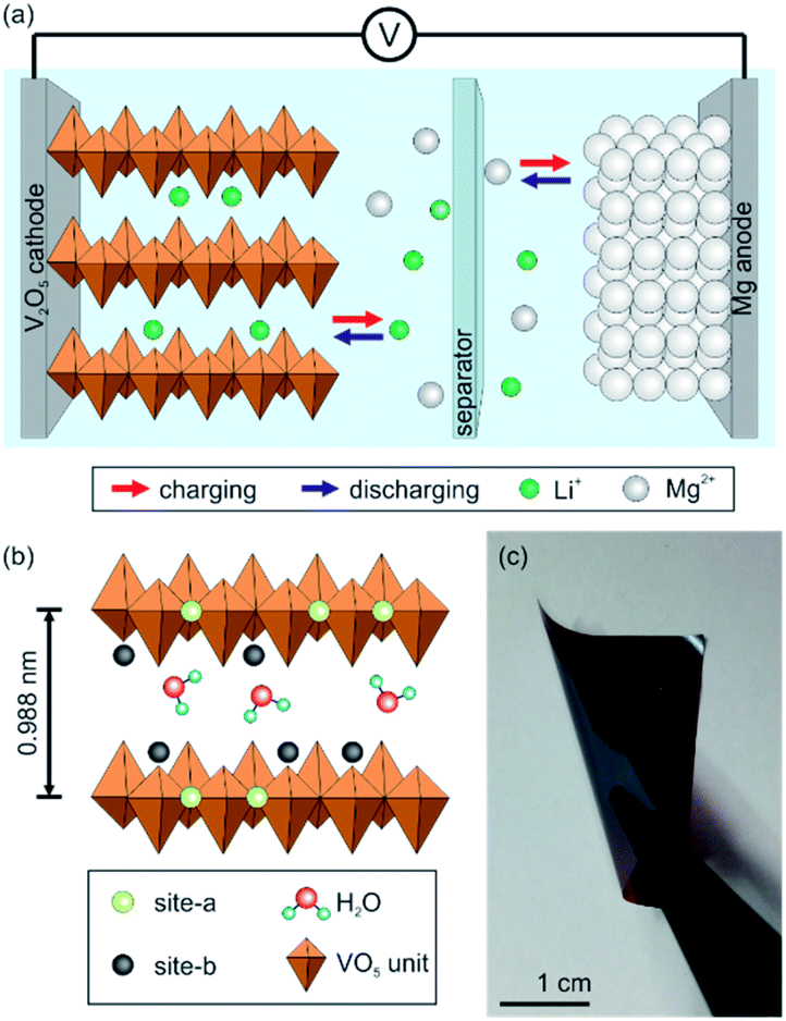 Self-supporting V 2 O 5 nanofiber-based electrodes for magnesium–lithium-ion  hybrid batteries - RSC Advances (RSC Publishing) DOI:10.1039/D0RA10384E
