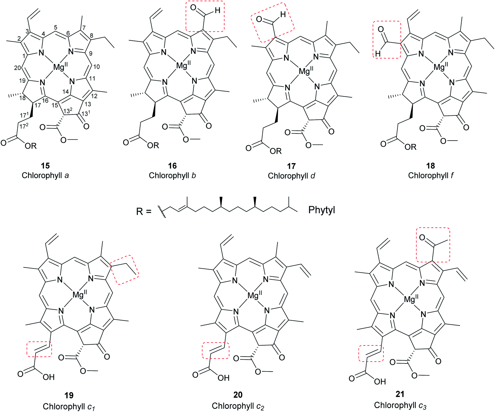 24533-72-0 | Pyropheophorbide-a | ChemScene llc