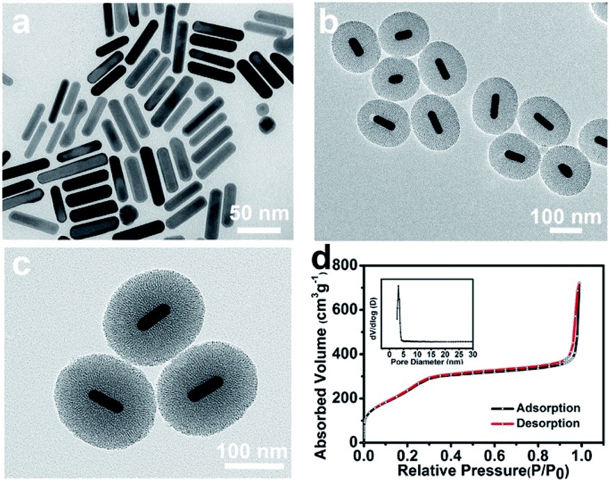 Ultra High Thermally Stable Gold Nanorods Radial Mesoporous Silica And Their Application In Enhanced Chemo Photothermal Therapy Rsc Advances Rsc Publishing Doi 10 1039 D1ra00213a