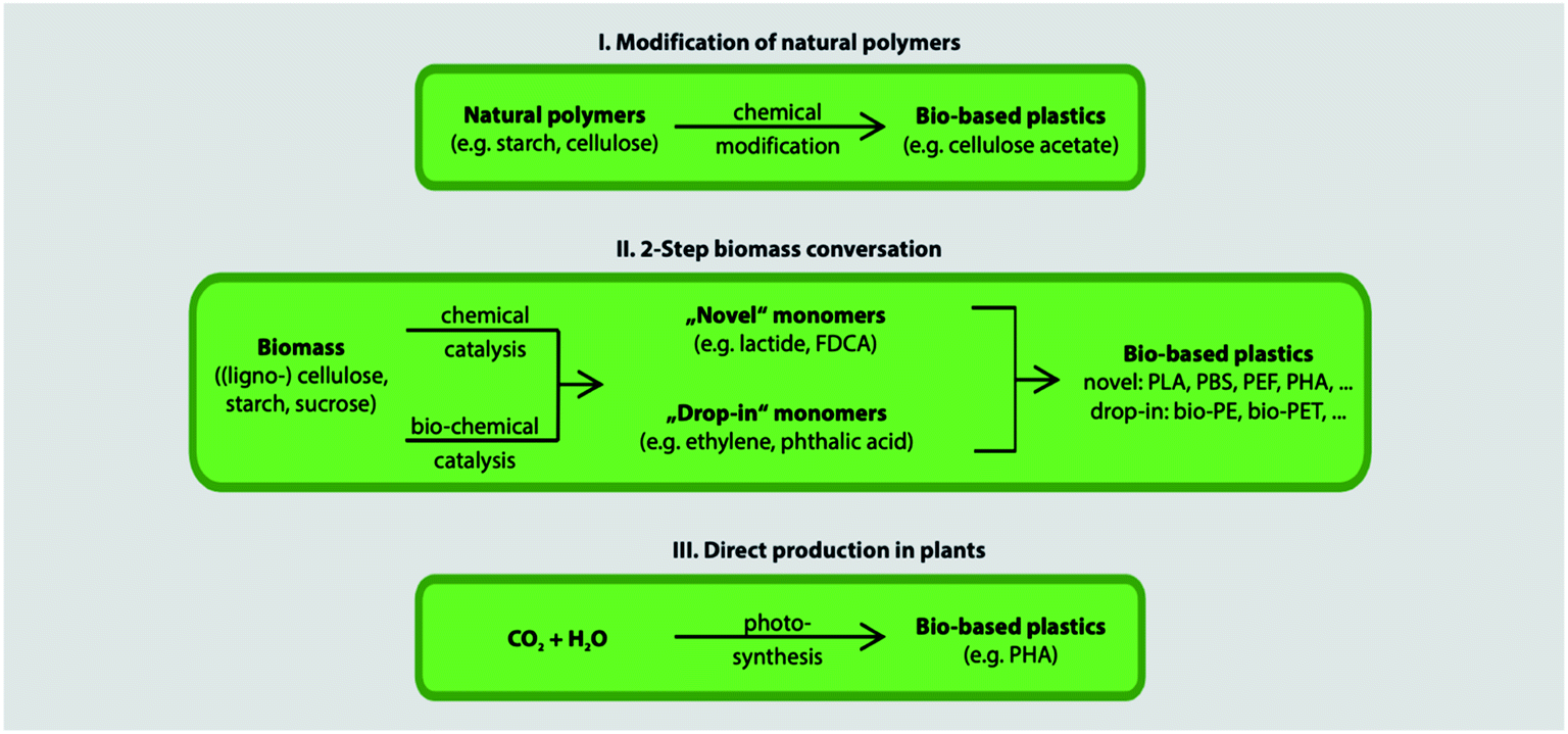 Poly(lactic acid) (PLA) and polyhydroxyalkanoates (PHAs), green  alternatives to petroleum-based plastics: a review - RSC Advances (RSC  Publishing) DOI:10.1039/D1RA02390J