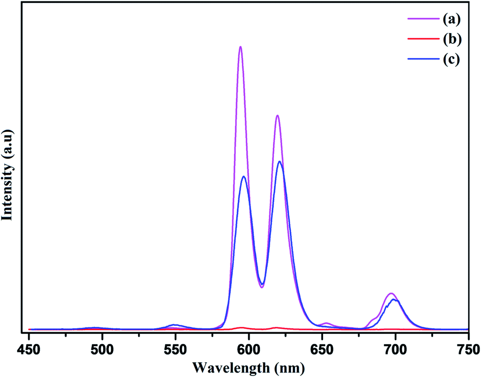 PEI functionalized NaCeF 4 :Tb 3+ /Eu 3+ for photoluminescence