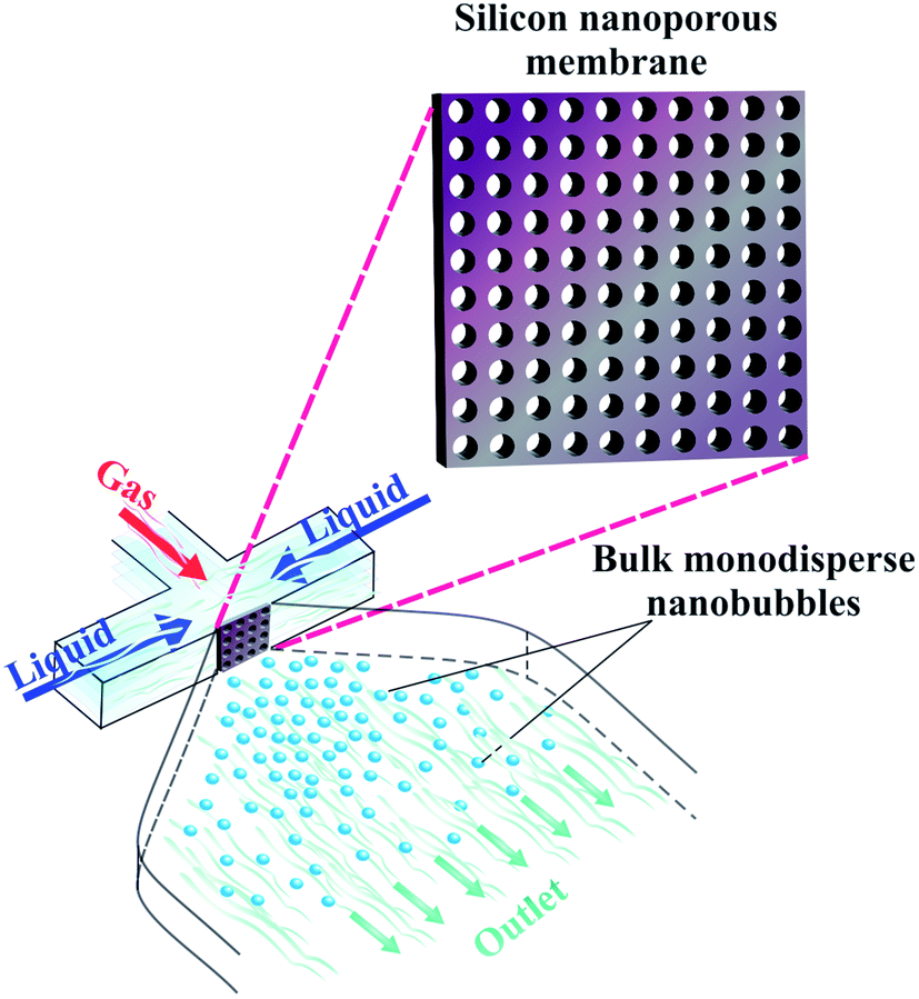 Biomedical nanobubbles and opportunities for microfluidics - RSC
