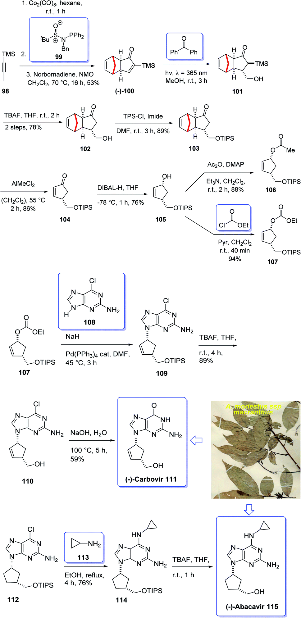 Application of Pauson–Khand reaction in the total synthesis of terpenes -  RSC Advances (RSC Publishing) DOI:10.1039/D1RA05673E
