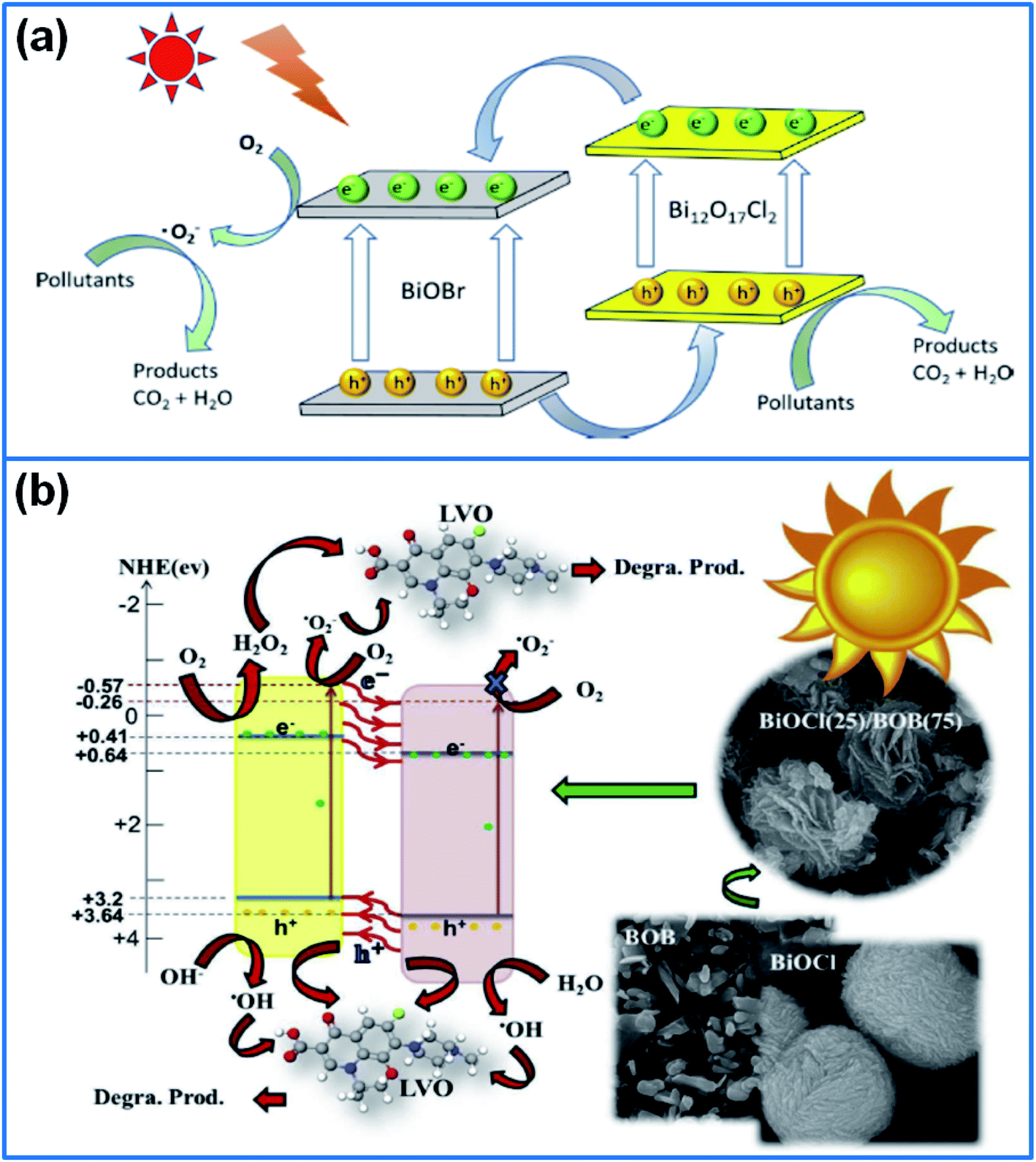 Recent advances in bismuth-based photocatalysts: Environment and