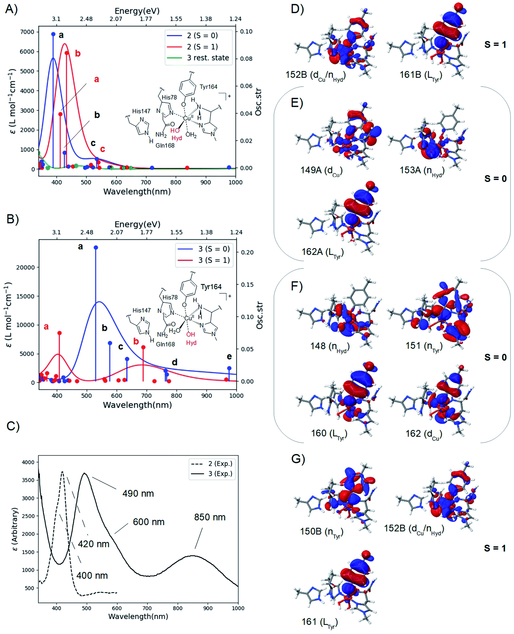 The role of the active site tyrosine in the mechanism of lytic  polysaccharide monooxygenase - Chemical Science (RSC Publishing)  DOI:10.1039/D0SC05262K