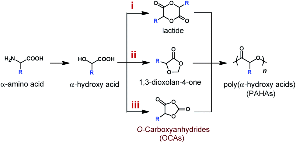 Photocatalyst Independent Photoredox Ring Opening Polymerization Of O Carboxyanhydrides Stereocontrol And Mechanism Chemical Science Rsc Publishing Doi 10 1039 D0scf