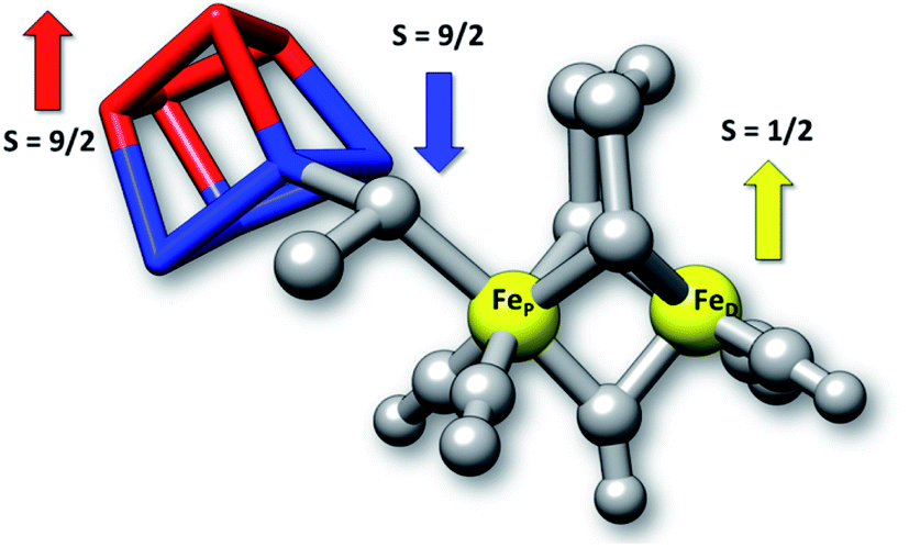 Photochemistry and photoinhibition of the H-cluster of FeFe 