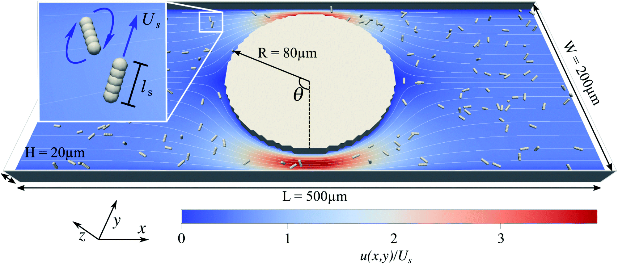 The Influence Of Motility On Bacterial Accumulation In A Microporous Channel Soft Matter Rsc Publishing Doi 10 1039 D0smd