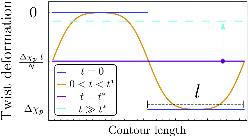 Twist Dynamics And Buckling Instability Of Ring Dna The Effect Of Groove Asymmetry And Anisotropic Bending Soft Matter Rsc Publishing Doi 10 1039 D0smk