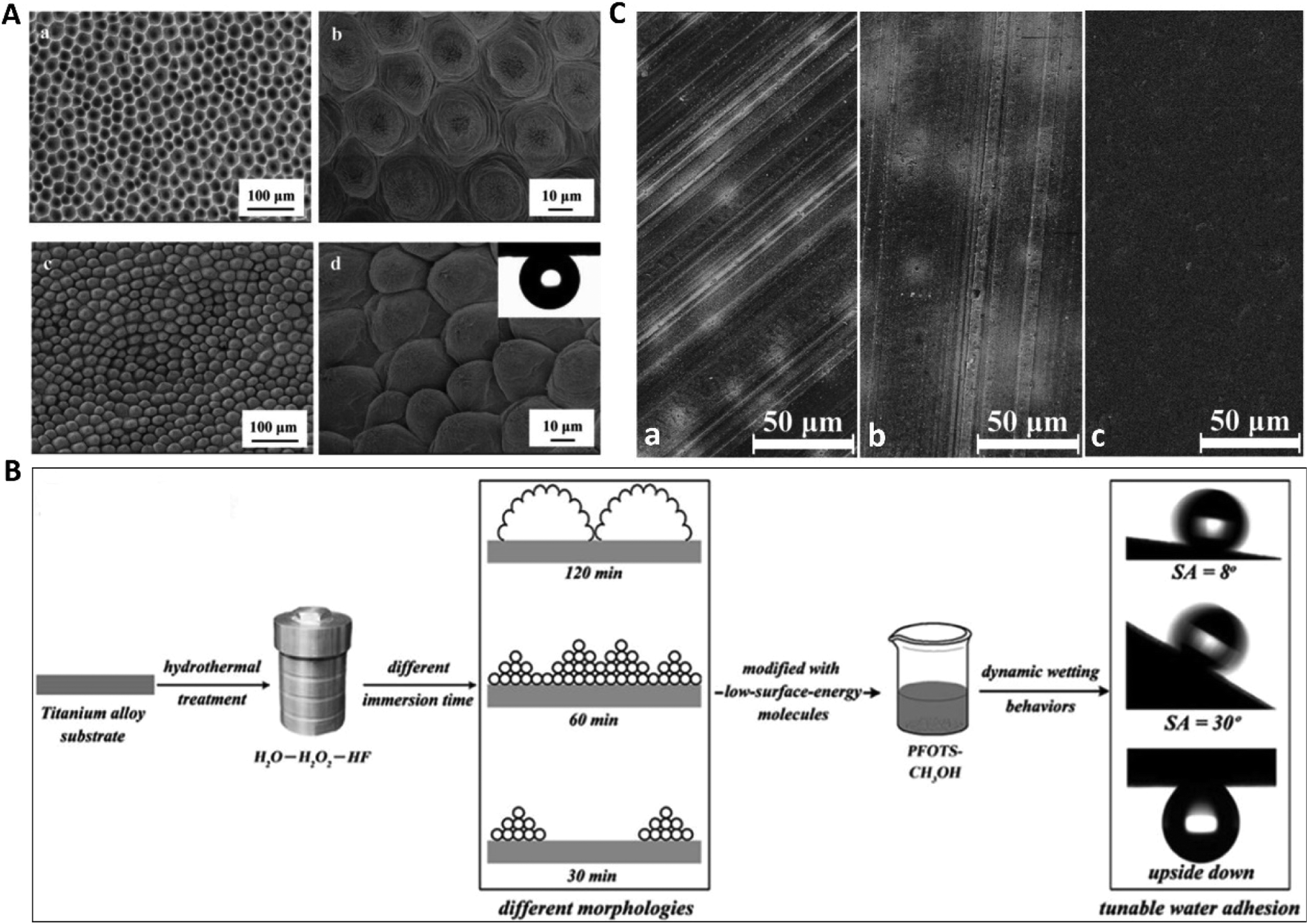 Adhesion behaviors on four special wettable surfaces: natural sources,  mechanisms, fabrications and applications - Soft Matter (RSC Publishing)  DOI:10.1039/D1SM00248A