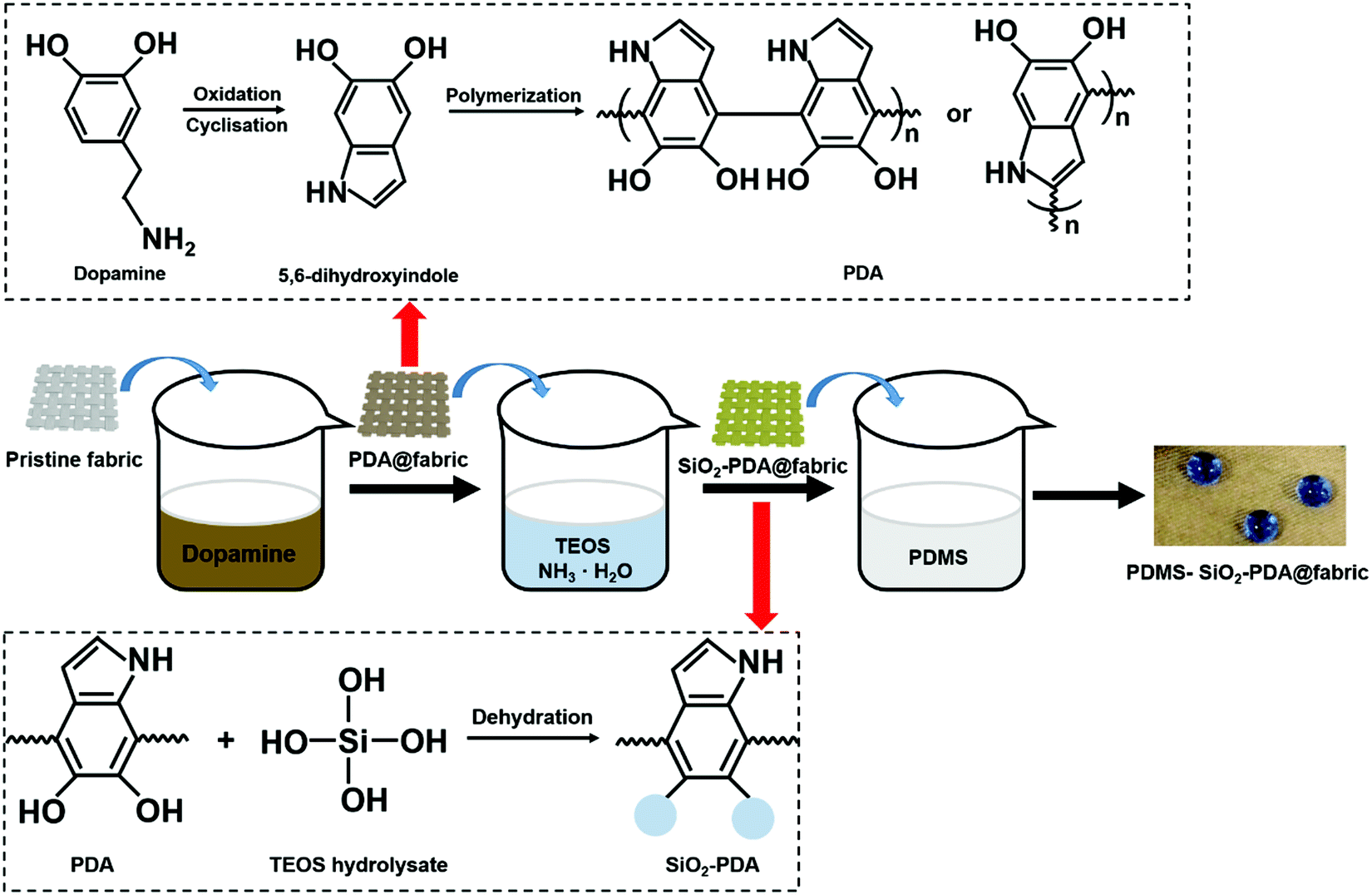 Oxidant Control of Polydopamine Surface Chemistry in Acids: A  Mechanism-Based Entry to Superhydrophilic-Superoleophobic Coatings