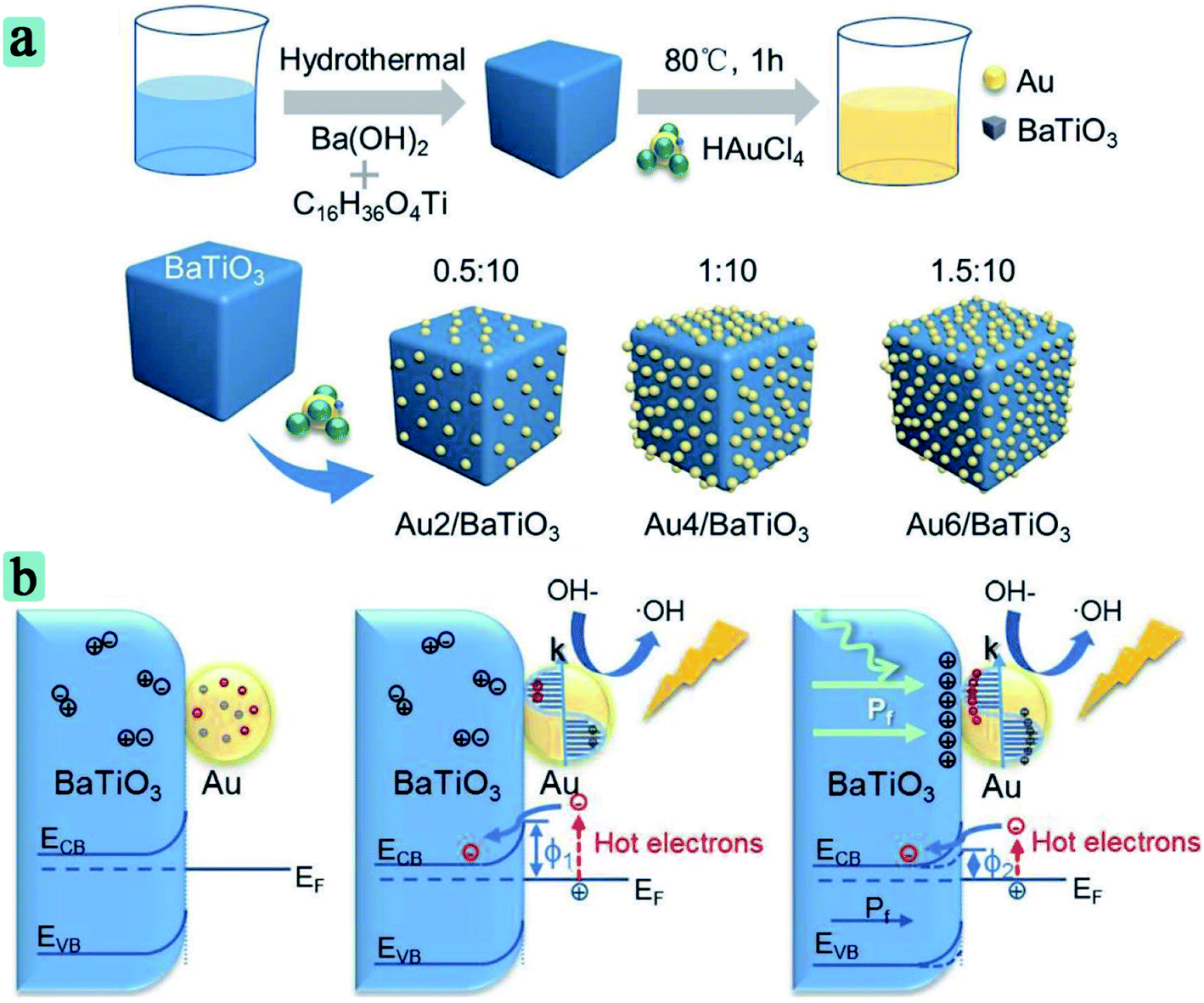 Local-interaction-field-coupled semiconductor photocatalysis 