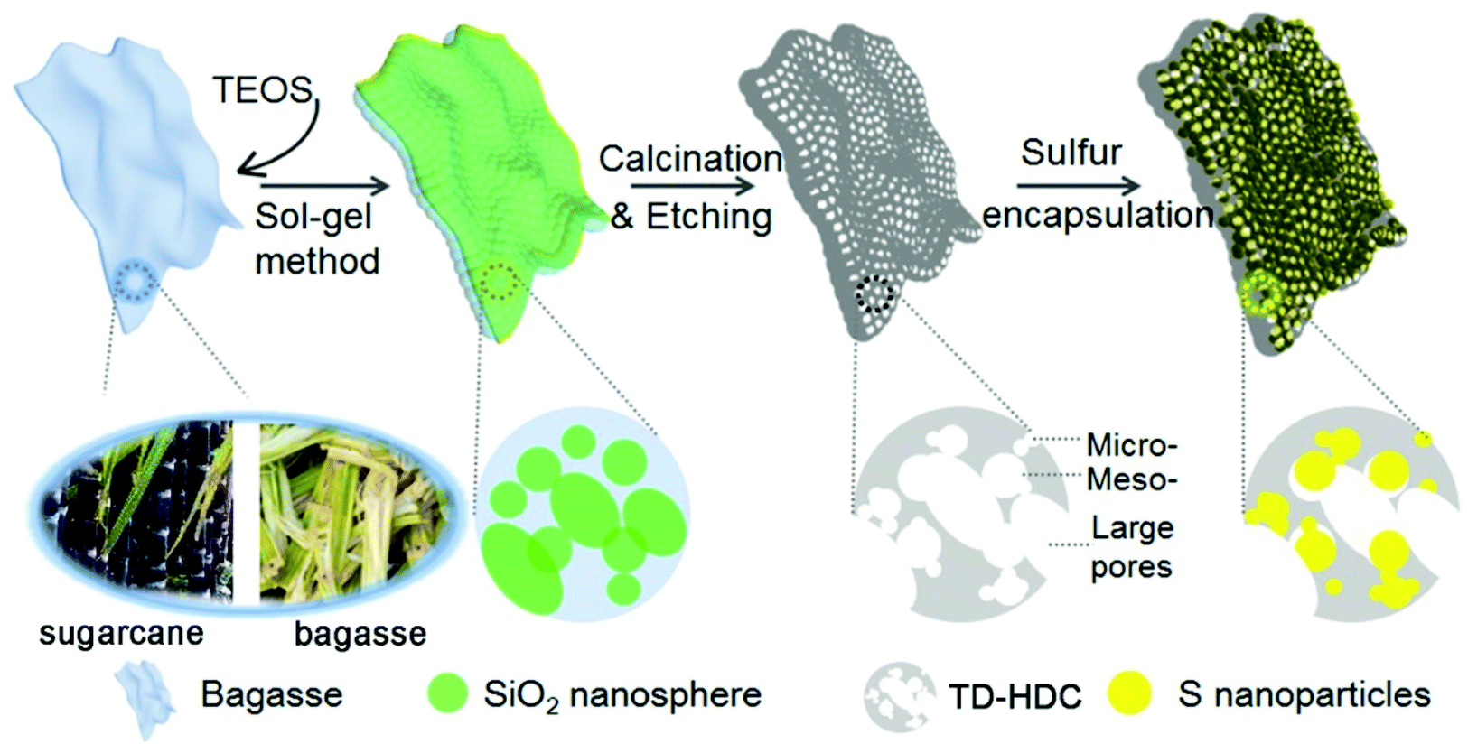 Promoting sulphur conversion chemistry with tri-modal porous N, O 