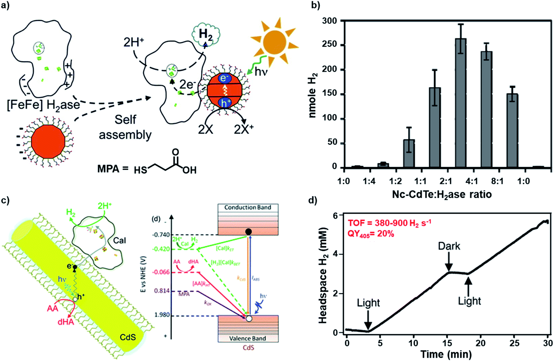 The Unconventional Role Of Surface Ligands In Dictating The Light Harvesting Properties Of Quantum Dots Journal Of Materials Chemistry A Rsc Publishing Doi 10 1039 D0tac