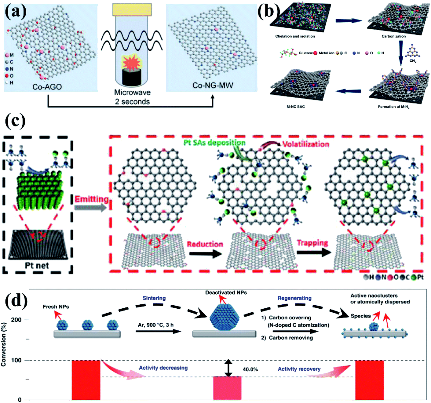 Recent advances in single-atom electrocatalysts supported on two 