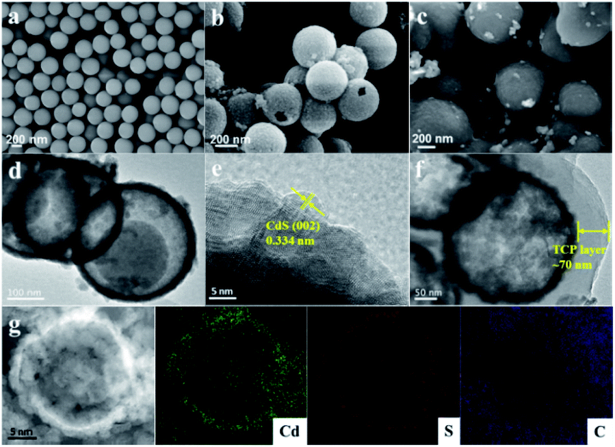 Polytriptycene@CdS double shell hollow spheres with enhanced 