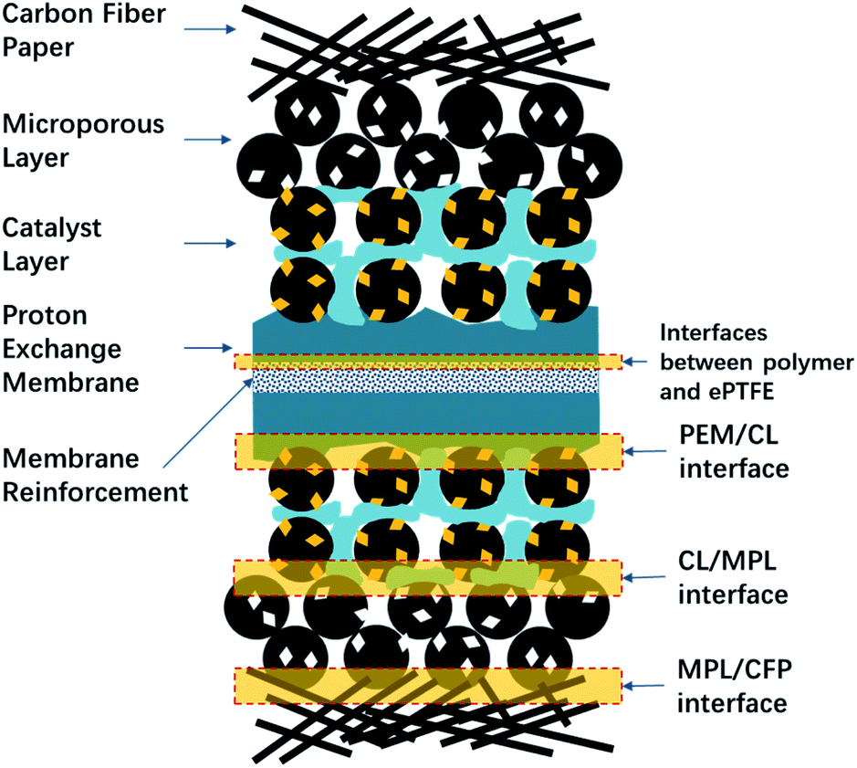 Understanding the functions and modifications of interfaces in membrane  electrode assemblies of proton exchange membrane fuel cells - Journal of  Materials Chemistry A (RSC Publishing) DOI:10.1039/D1TA01591E