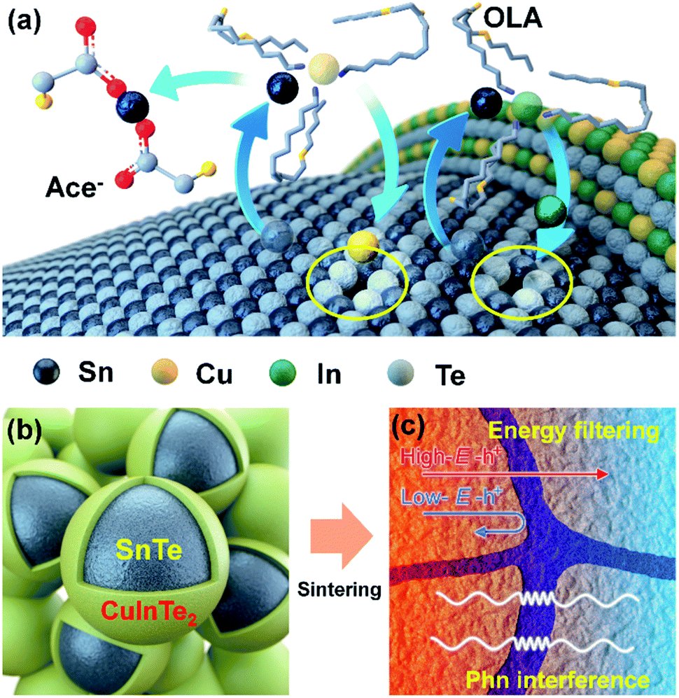Enhancement of thermoelectric performance in a non-toxic CuInTe 2 