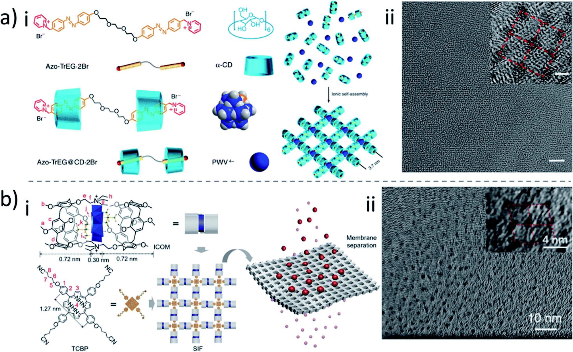 Engineering membranes with macrocycles for precise molecular 