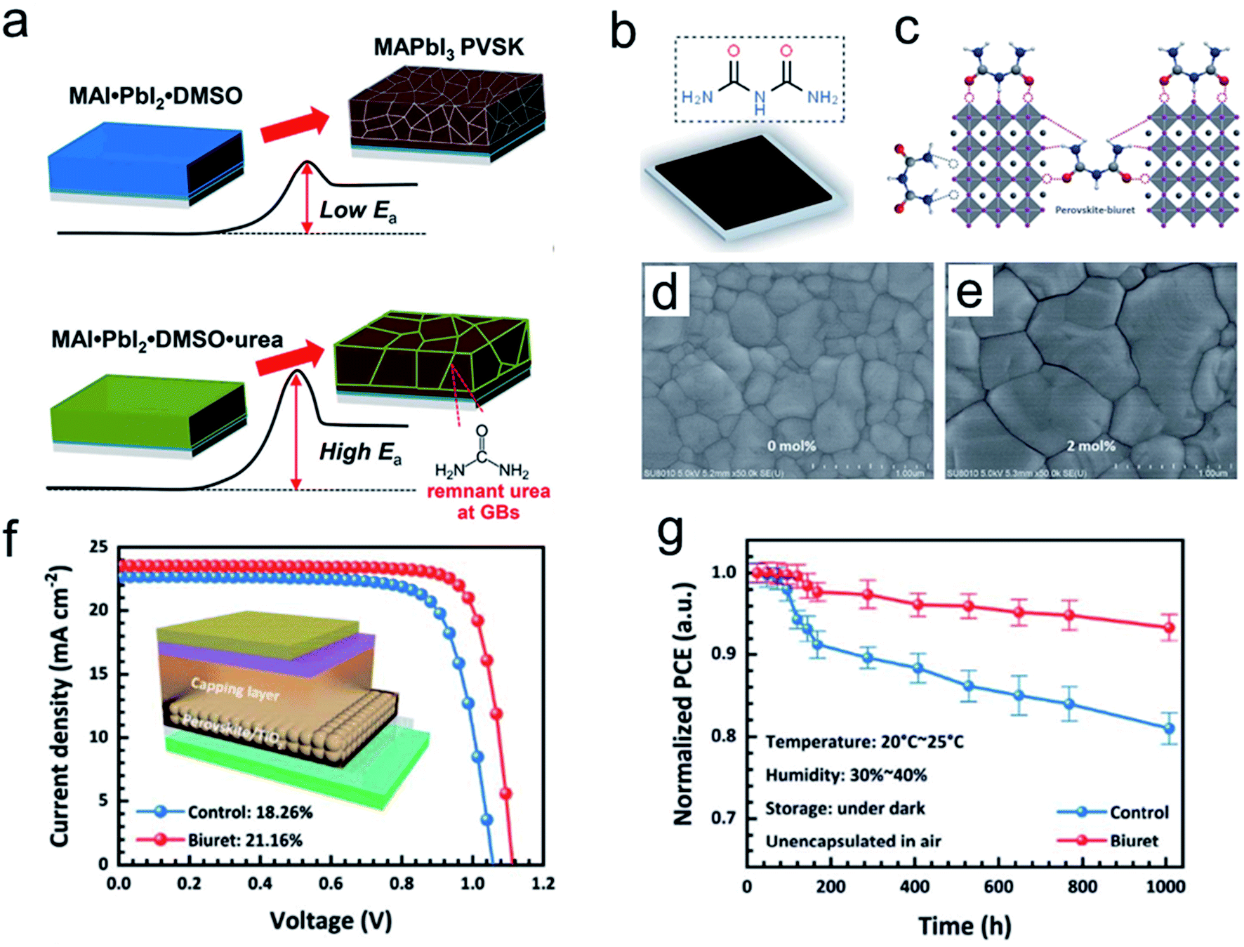 Performance and stability improvements in metal halide perovskite 