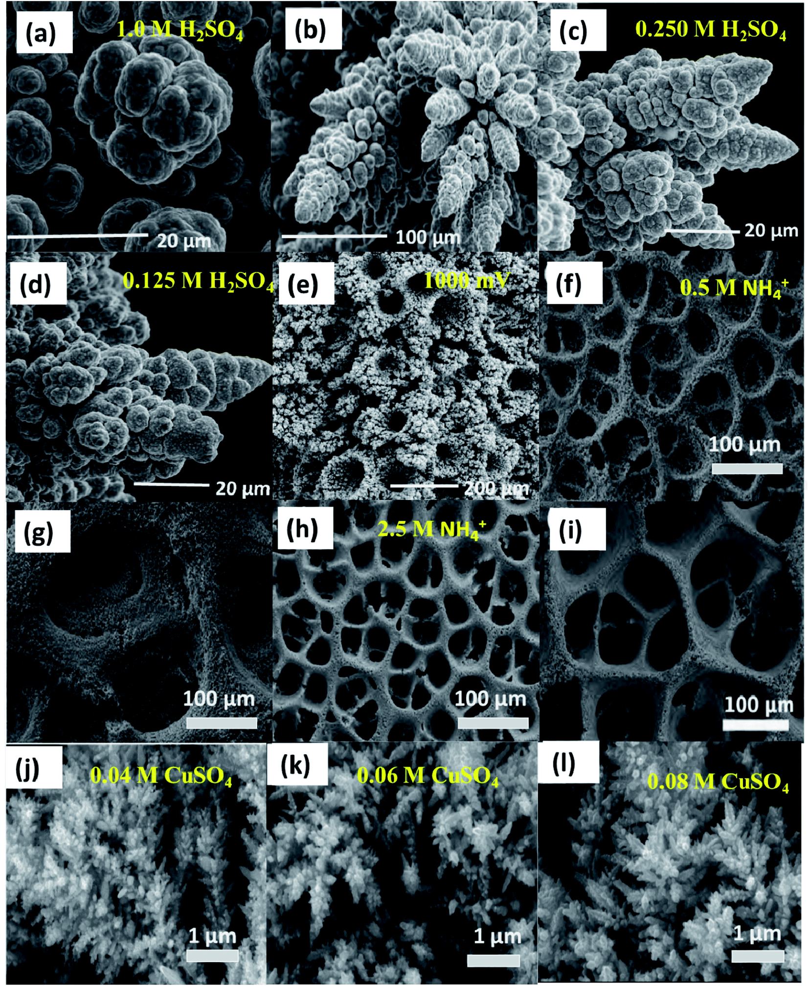 Recent trends in template assisted 3D porous materials for electrochemical  supercapacitors - Journal of Materials Chemistry A (RSC Publishing)  DOI:10.1039/D1TA06122D