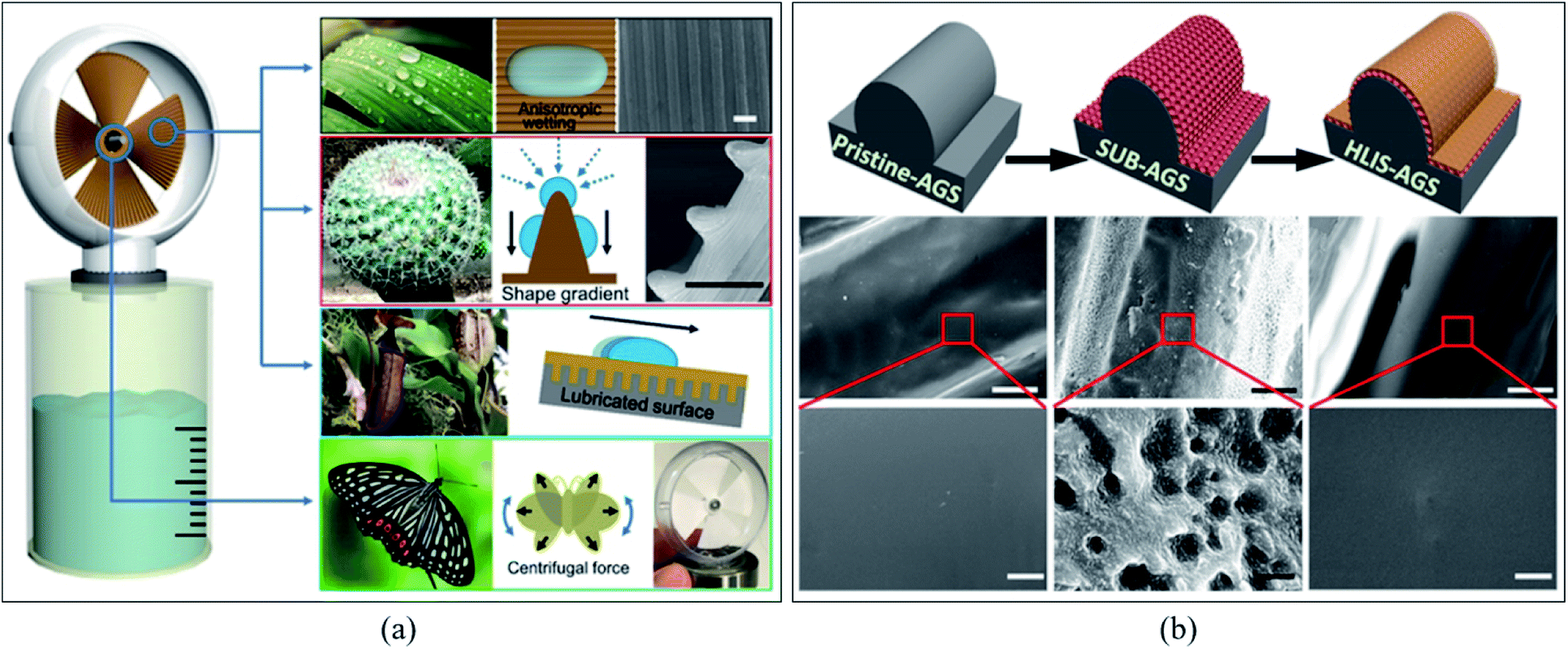 The intrigue of directional water collection interface: mechanisms and  strategies - Journal of Materials Chemistry A (RSC Publishing)  DOI:10.1039/D1TA06182H