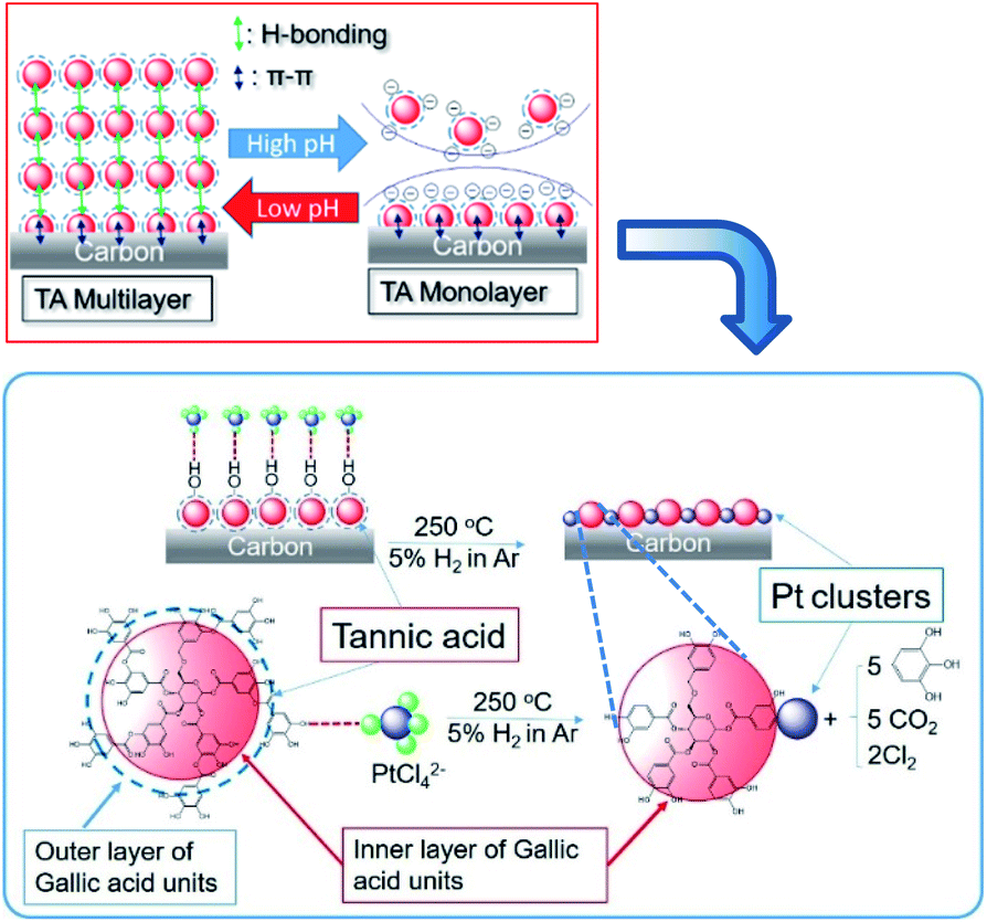 Thermostable carbon-supported subnanometer-sized (<1 nm) Pt Thermostable carbon-supported subnanometer-sized (<1 nm) Pt