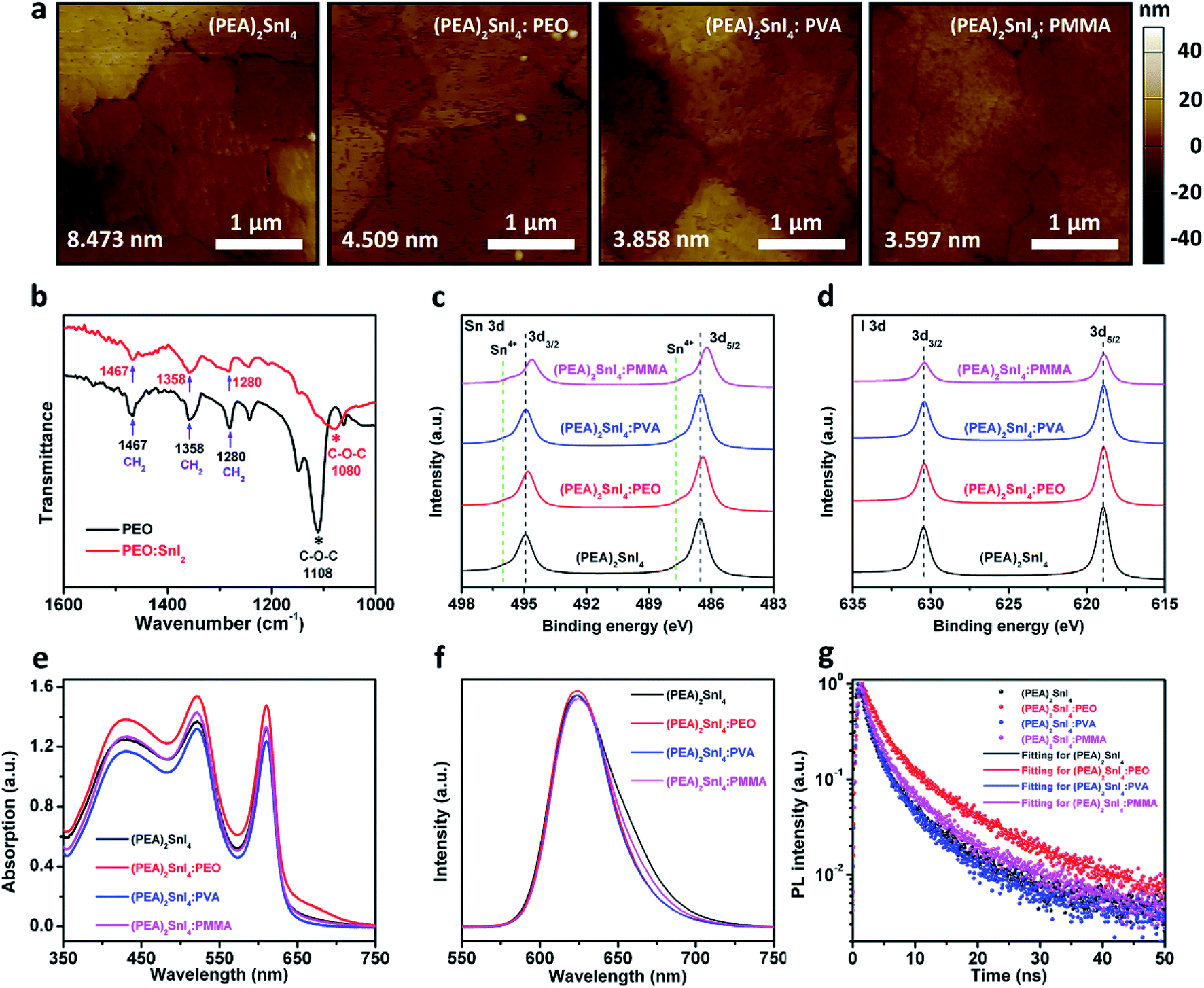 Ambipolar transport in two-dimensional Sn-based perovskite field 