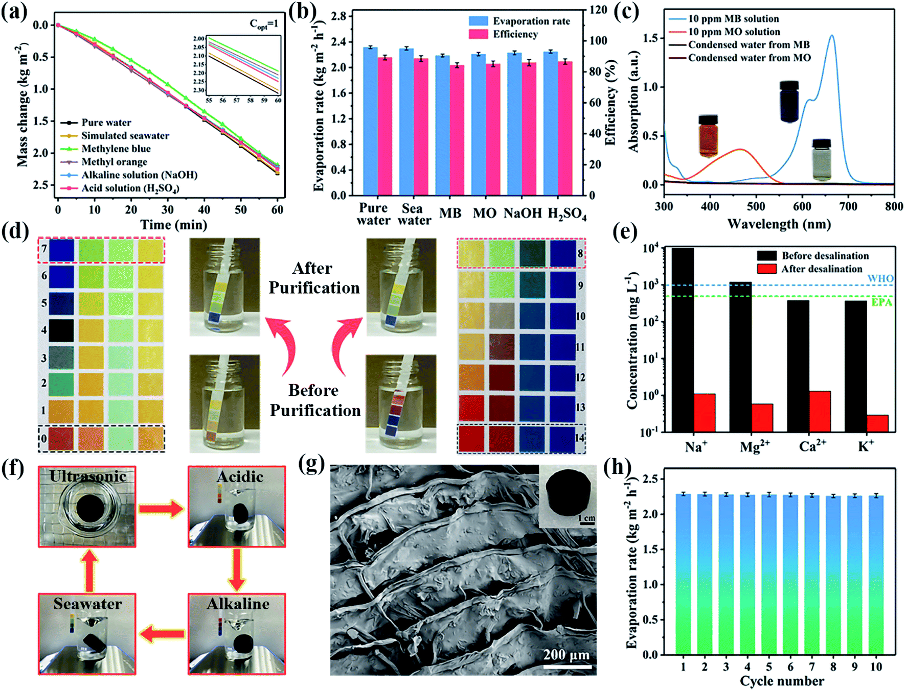Bamboo fiber-reinforced chitosan sponge as a robust photothermal 