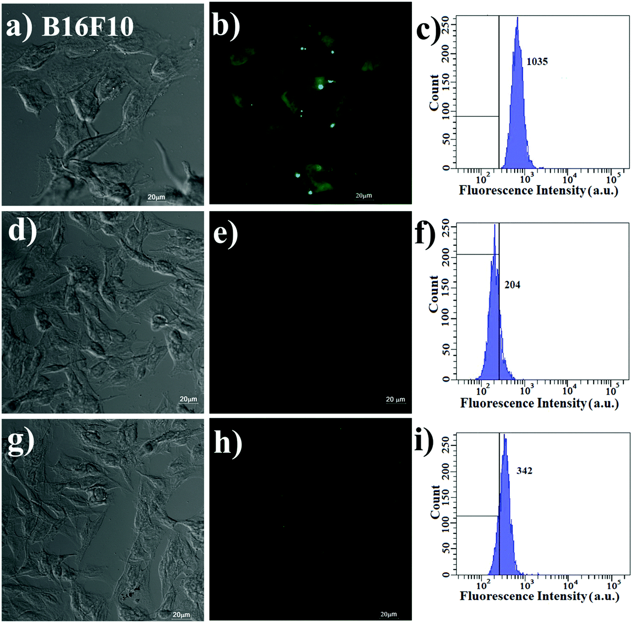 Naphthalimide Based Fluorescent Organic Nanoparticles In Selective Sensing Of Fe 3 And As A Diagnostic Probe For Fe 2 Fe 3 Transition Journal Of Materials Chemistry B Rsc Publishing Doi 10 1039 D0tbc
