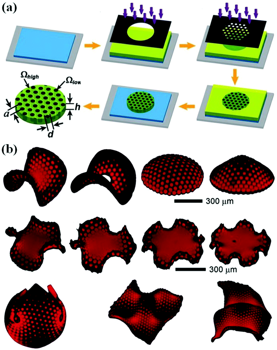 Recent progress on hydrogel actuators - Journal of Materials 