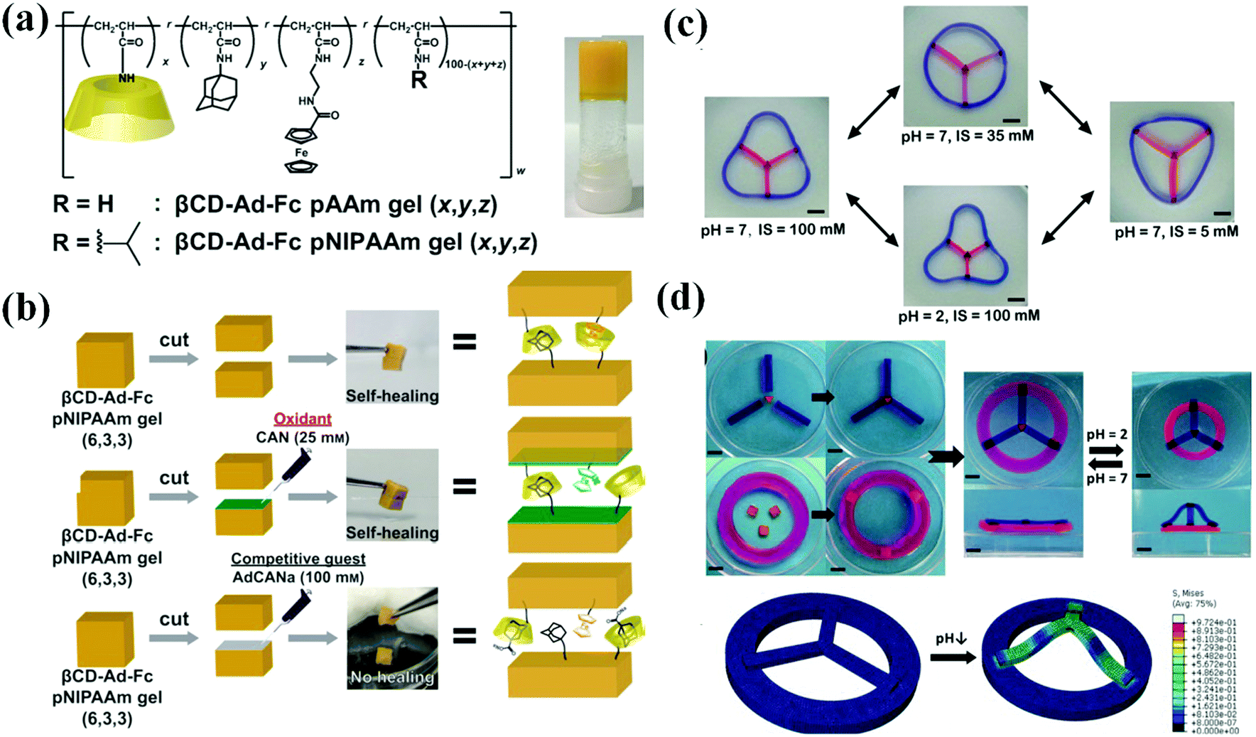 Recent progress on hydrogel actuators - Journal of Materials 