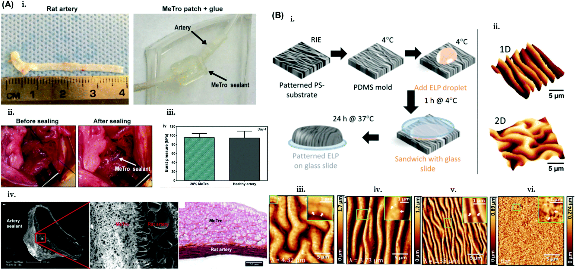 Designed protein- and peptide-based hydrogels for biomedical 