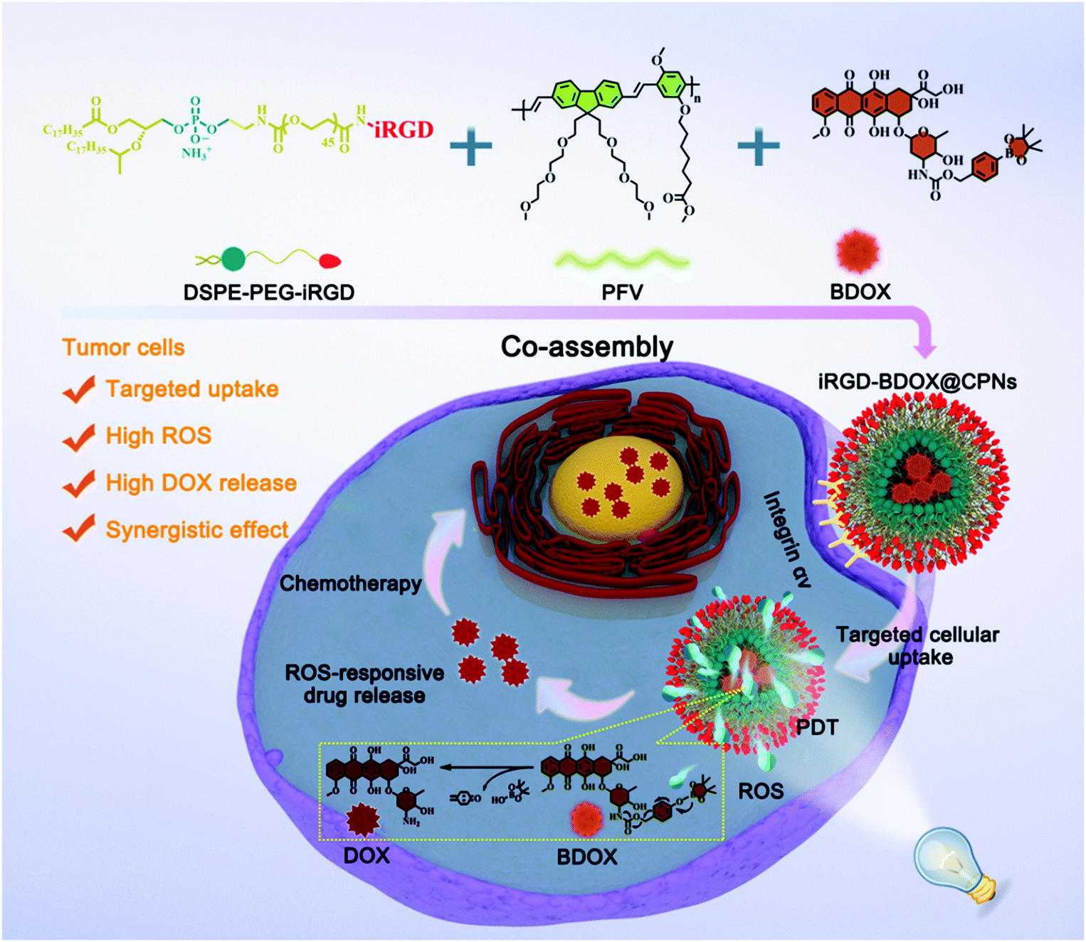 Ros Responsive And Active Targeted Drug Delivery Based On Conjugated Polymer Nanoparticles For Synergistic Chemo Photodynamic Therapy Journal Of Materials Chemistry B Rsc Publishing Doi 10 1039 D0tb02996c