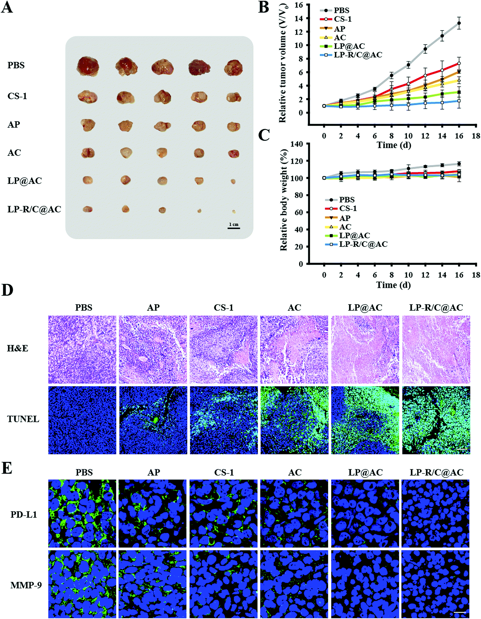 Prestained protein marker PL00001