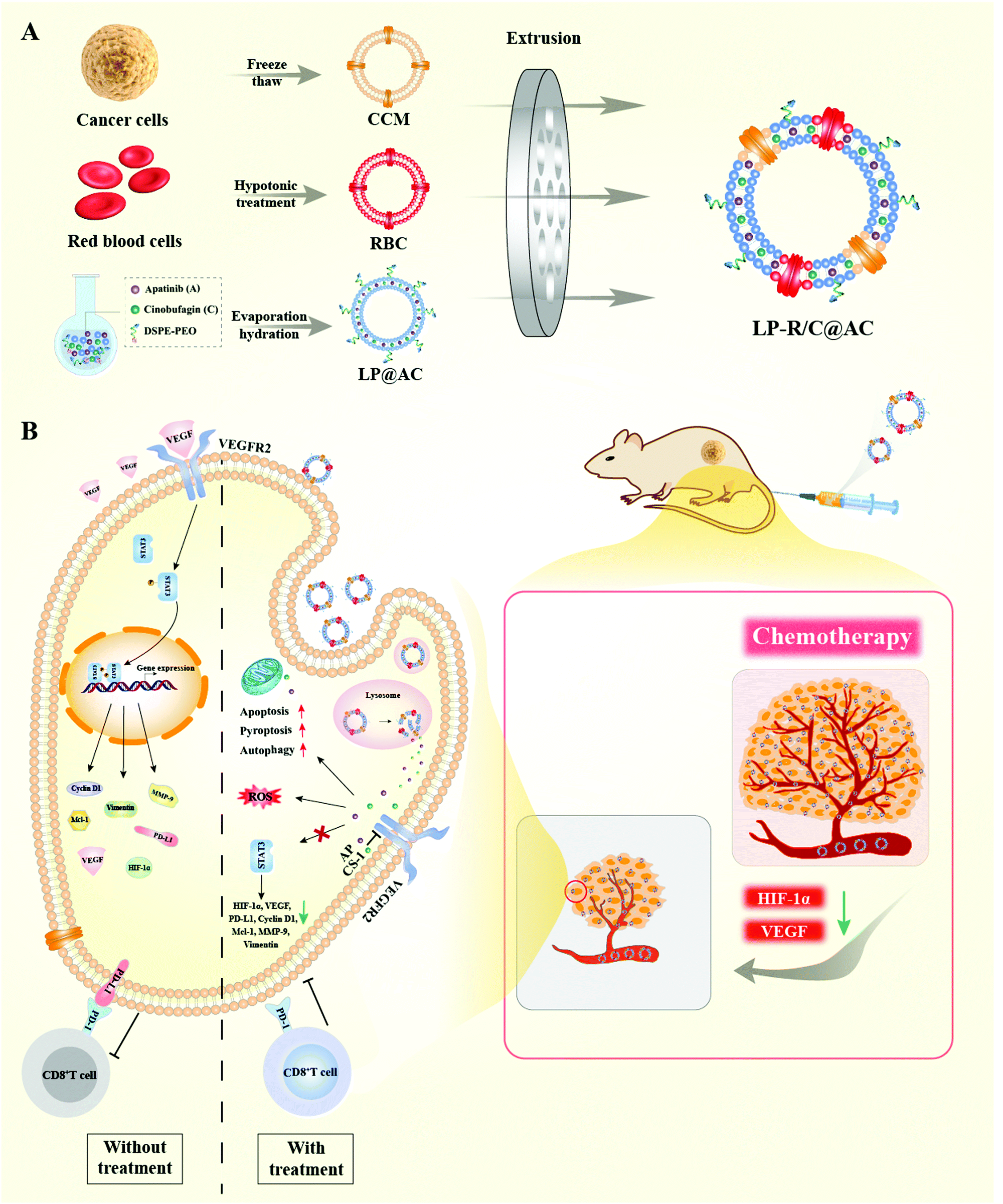 https://pubs.rsc.org/image/article/2021/TB/d1tb00029b/d1tb00029b-s1_hi-res.gif