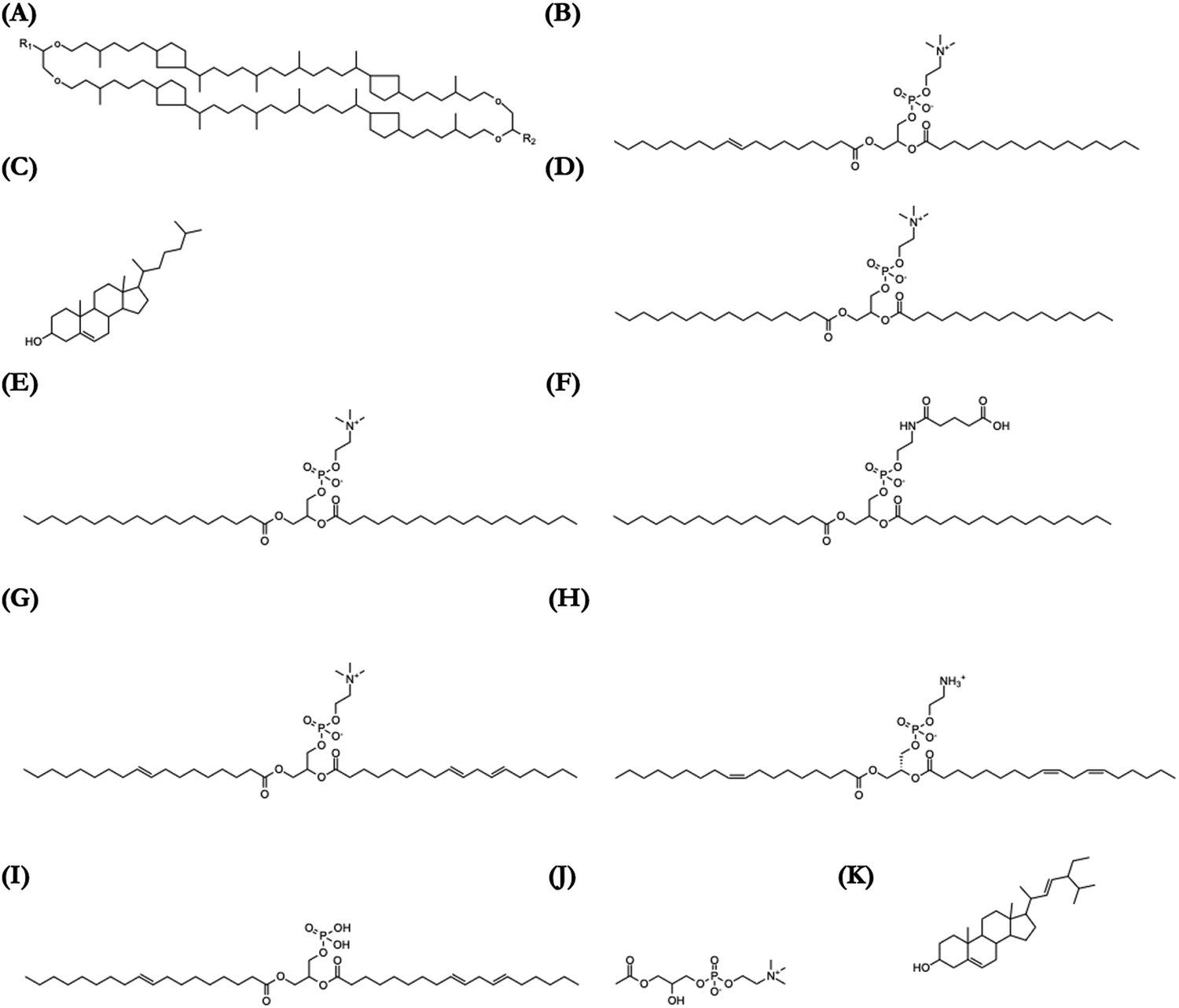 Liposomes for oral delivery of protein and peptide-based