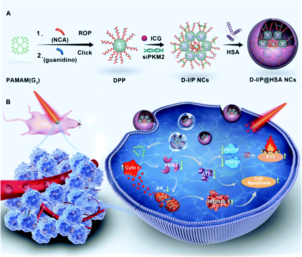 Regulating glucose metabolism using nanomedicines for cancer 