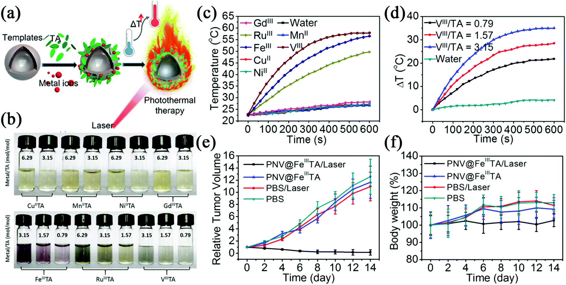 Tannic acid-based metal phenolic networks for bio-applications: a 