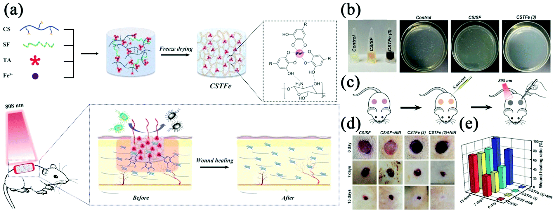 Tannic acid-based metal phenolic networks for bio-applications: a 