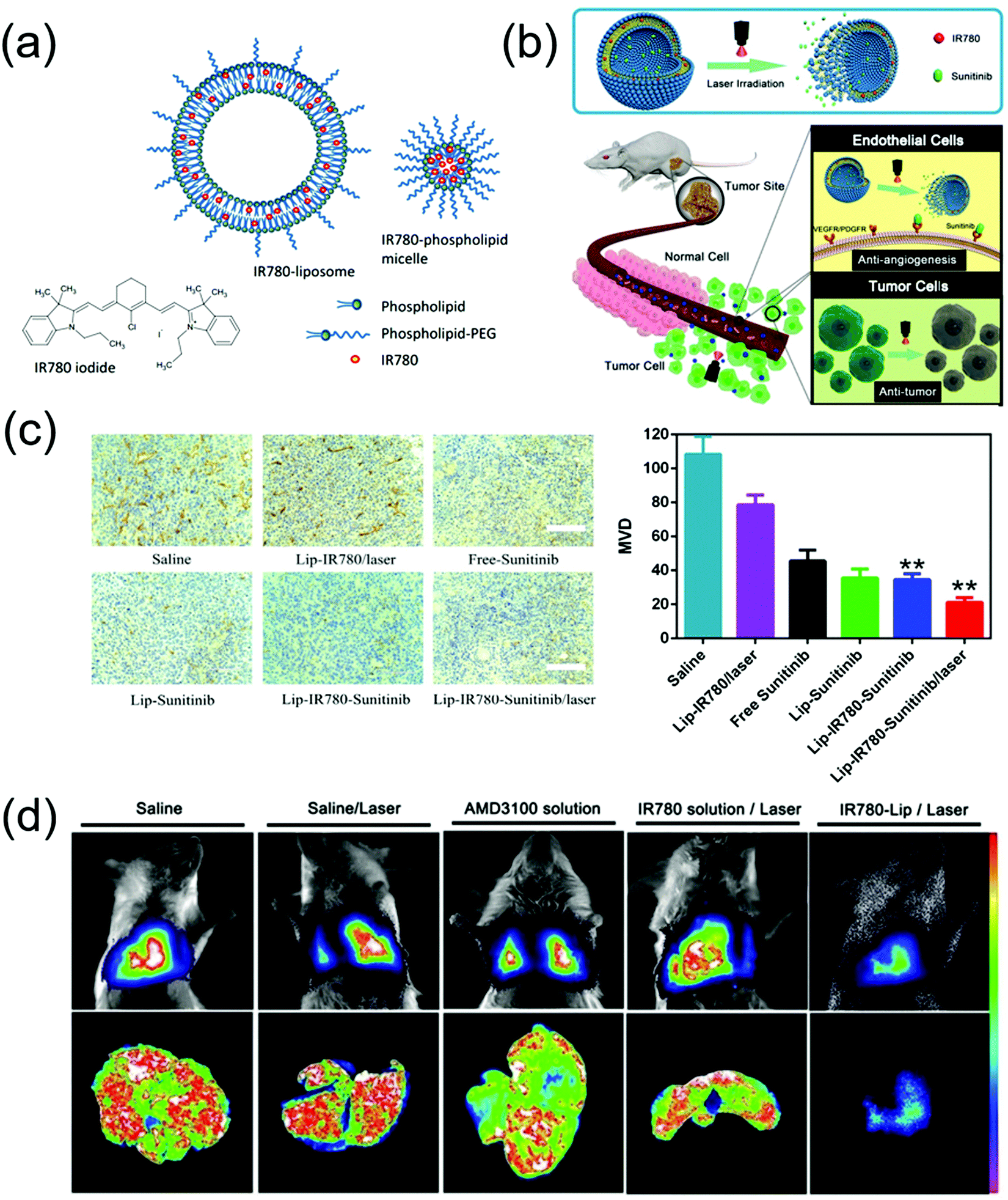 IR780-based nanomaterials for cancer imaging and therapy - Journal 