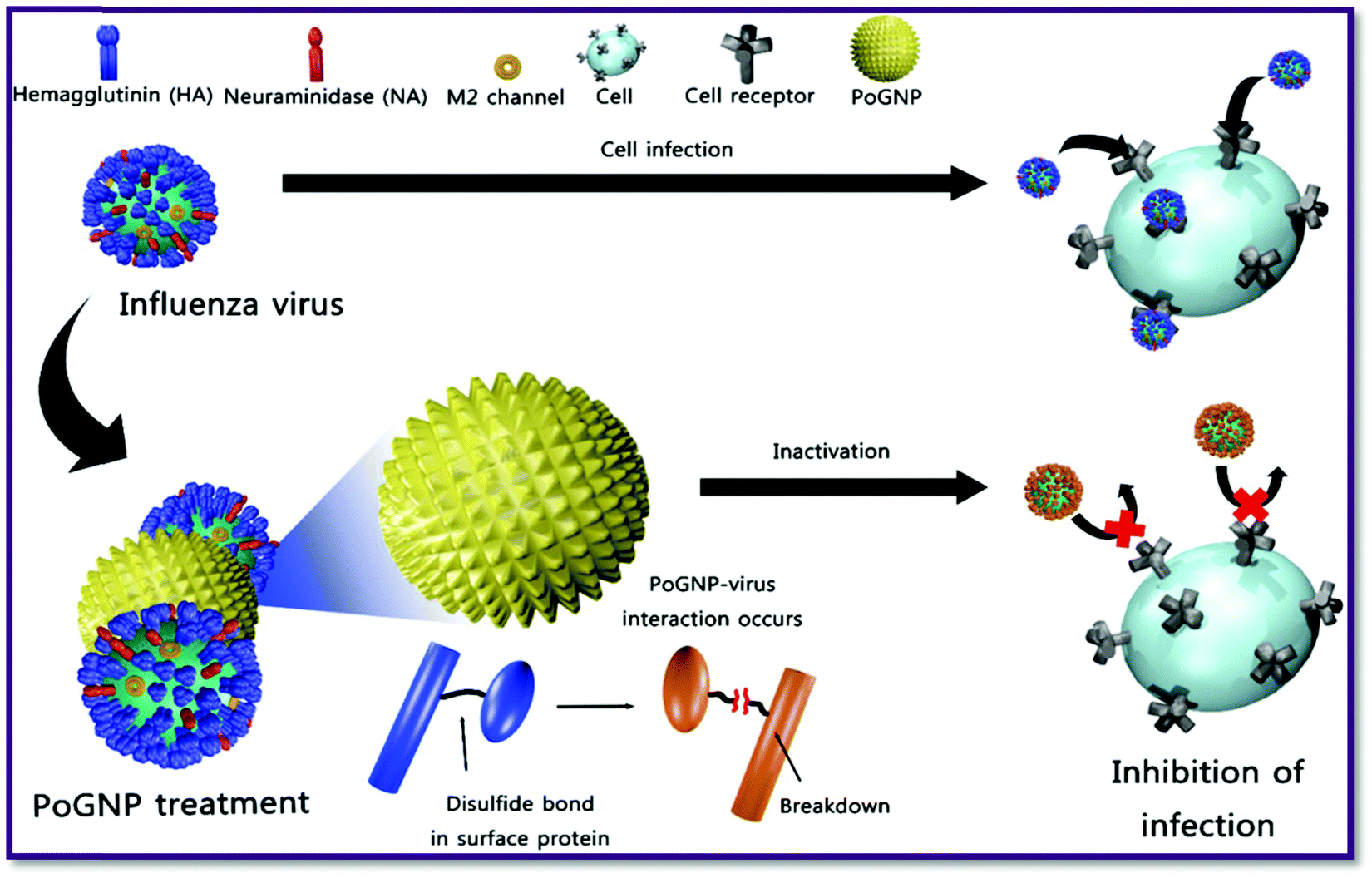High-performance antiviral nano-systems as a shield to inhibit viral  infections: SARS-CoV-2 as a model case study - Journal of Materials  Chemistry B (RSC Publishing) DOI:10.1039/D1TB00472G