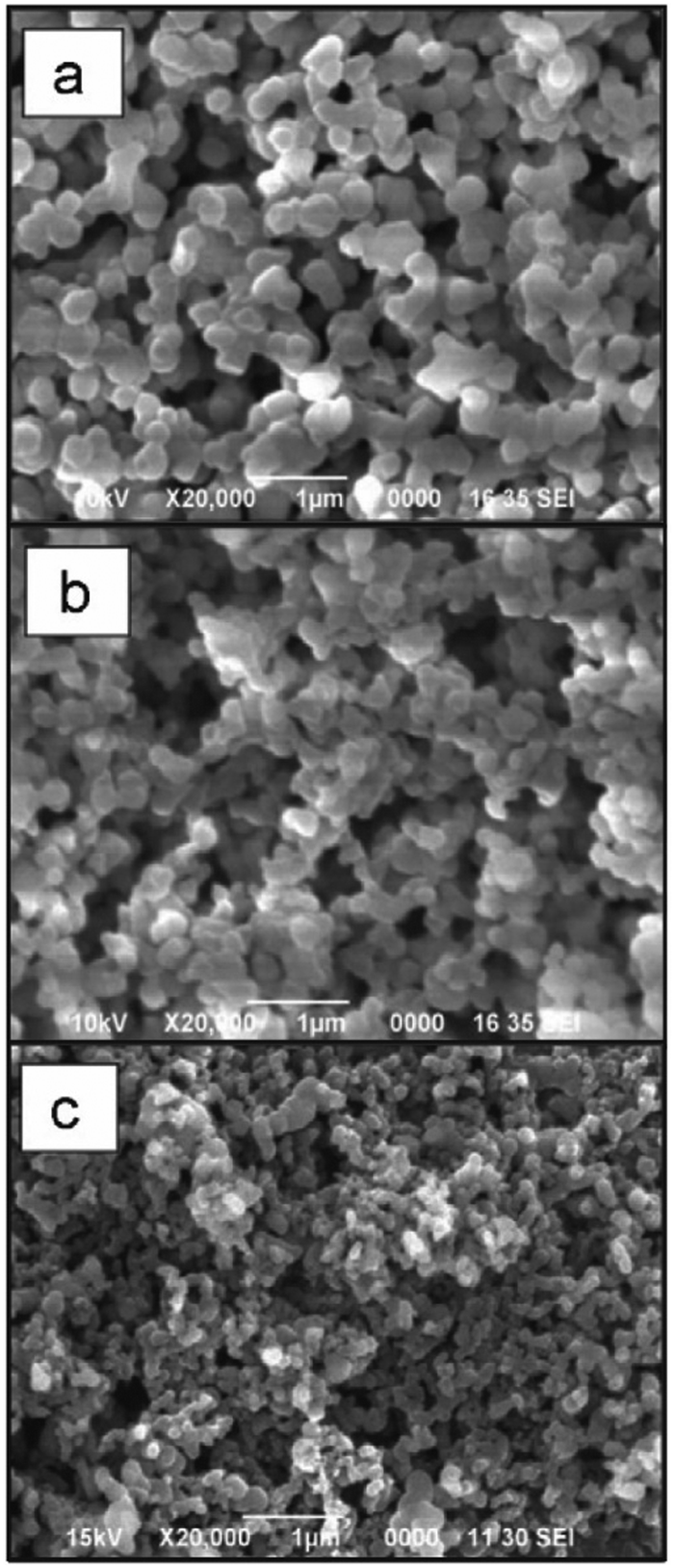 Polysaccharide nanoparticles: from fabrication to applications - Journal of  Materials Chemistry B (RSC Publishing) DOI:10.1039/D1TB00628B