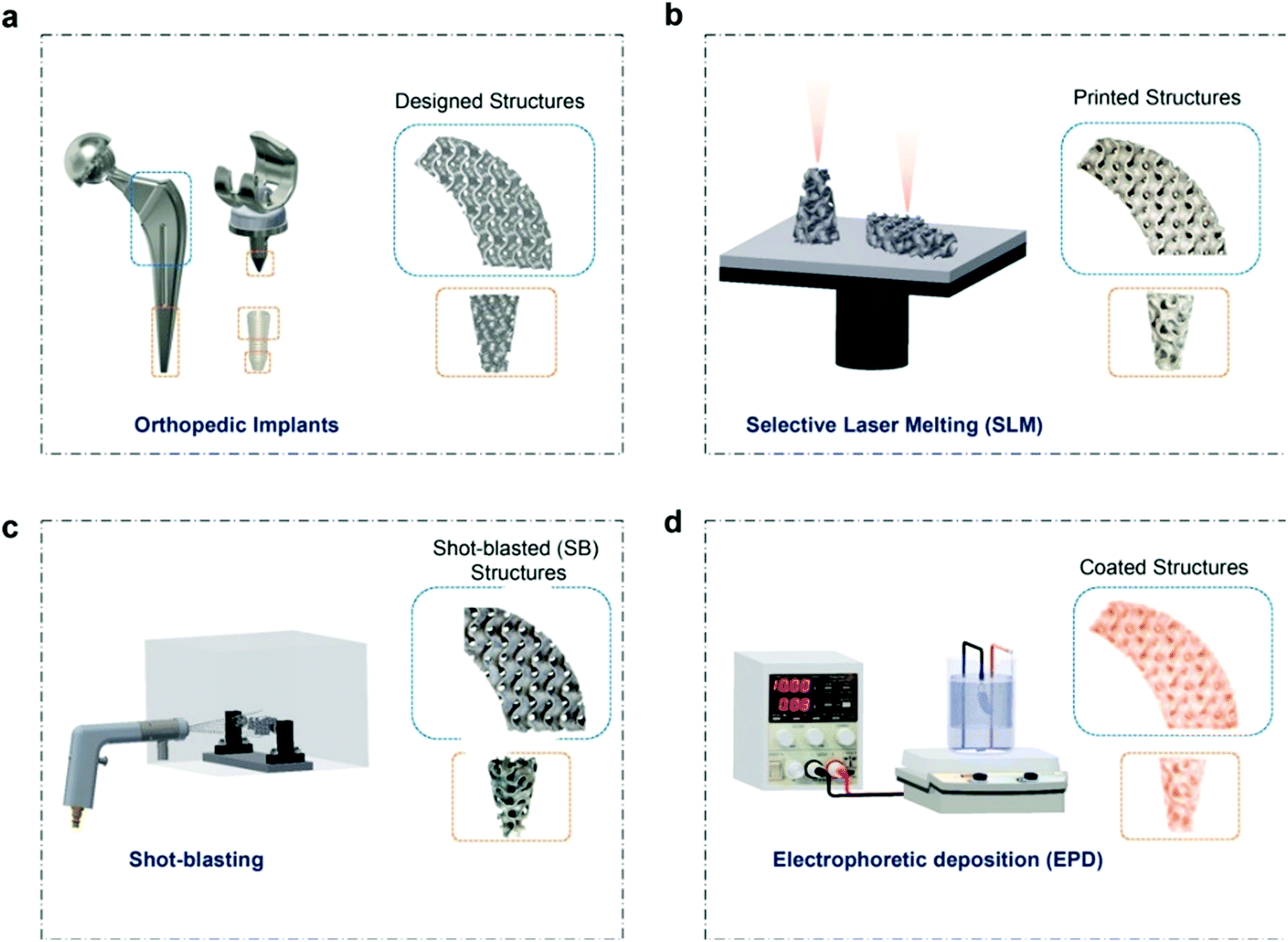 Smart Bioceramics for Orthopedic Applications