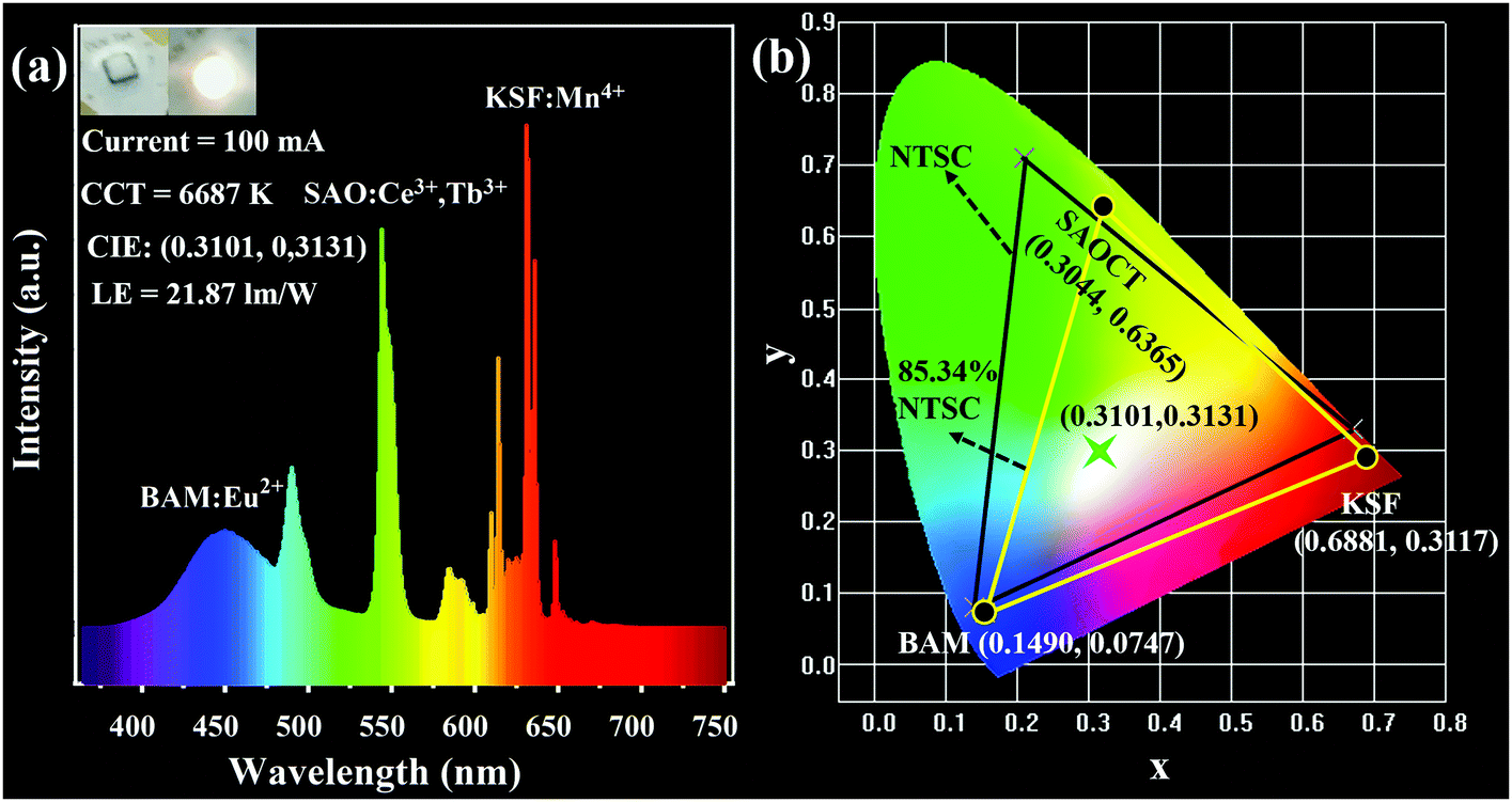 sss 53441) Rolex Daytona 116500LN Ceramic Bezel SS / White Dial