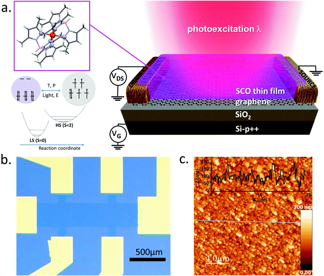 Electrical Read Out Of Light Induced Spin Transition In Thin Film Spin Crossover Graphene Heterostructures Journal Of Materials Chemistry C Rsc Publishing Doi 10 1039 D0tc052g